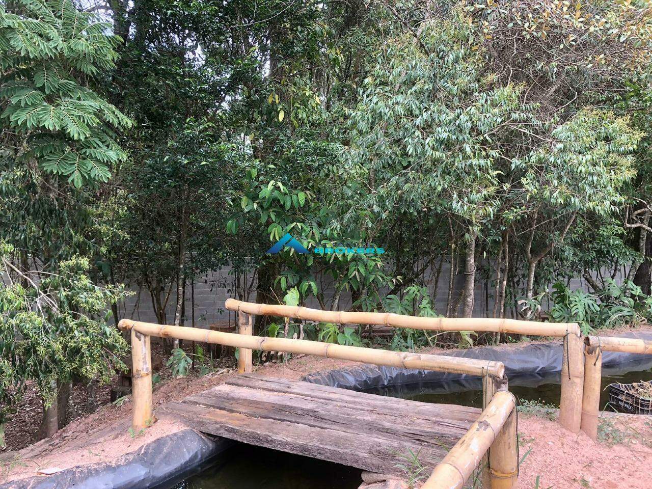 Terreno, 12 hectares - Foto 17
