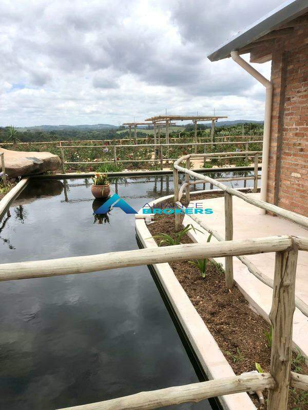 Terreno, 12 hectares - Foto 16