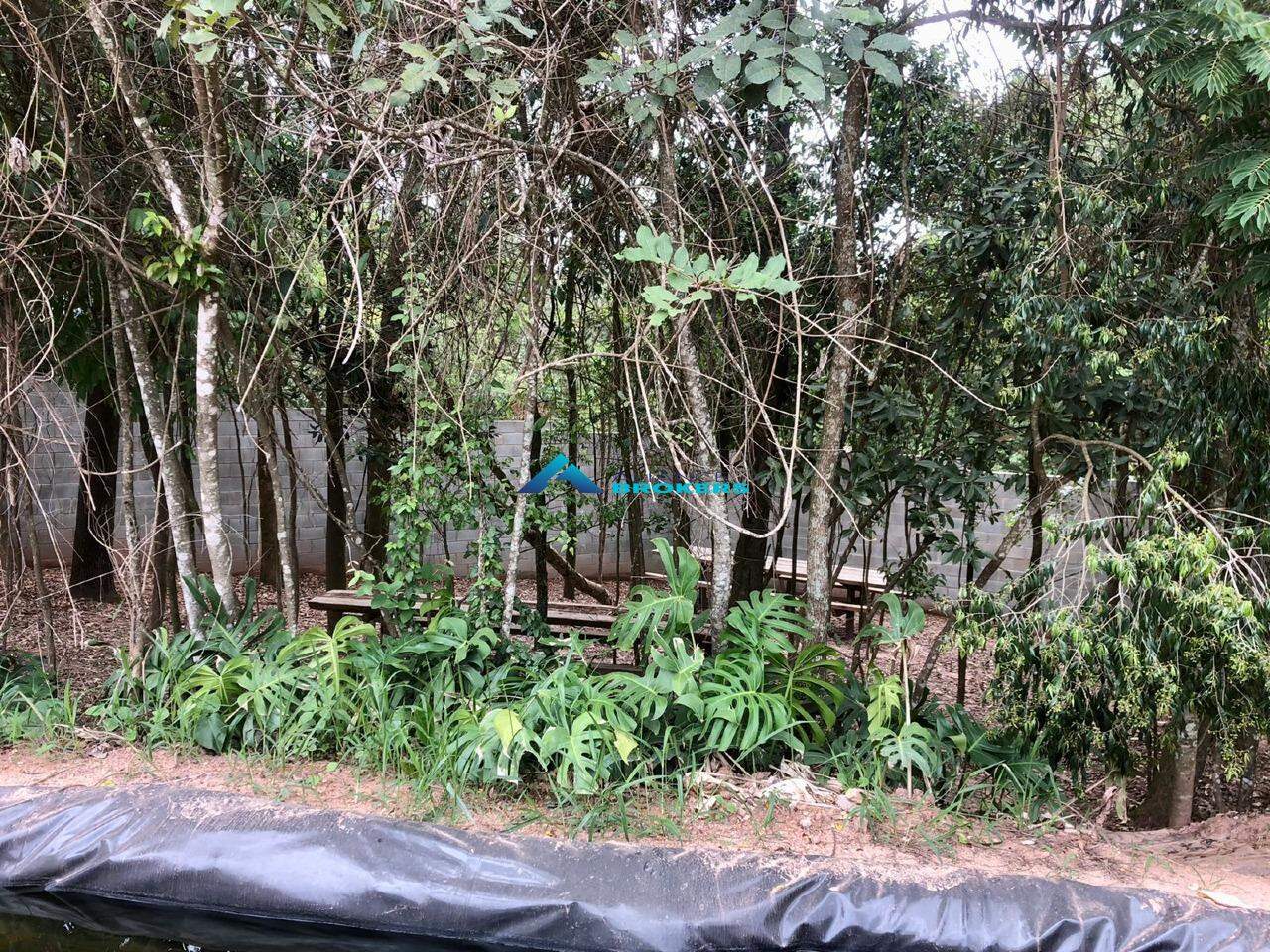 Terreno, 12 hectares - Foto 15