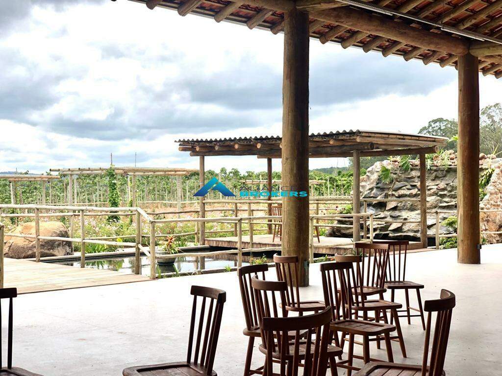 Terreno, 12 hectares - Foto 8
