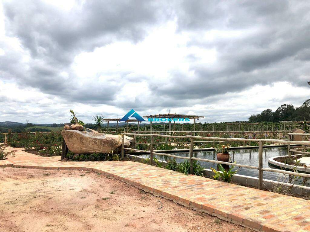Terreno, 12 hectares - Foto 4