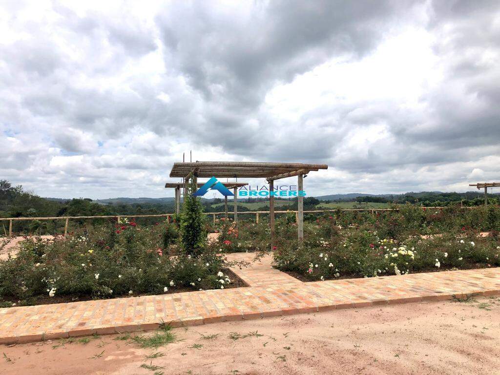 Terreno, 12 hectares - Foto 3