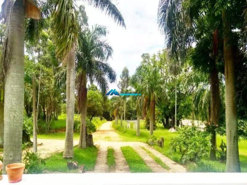 Casa, 8 quartos, 700 m² - Foto 3