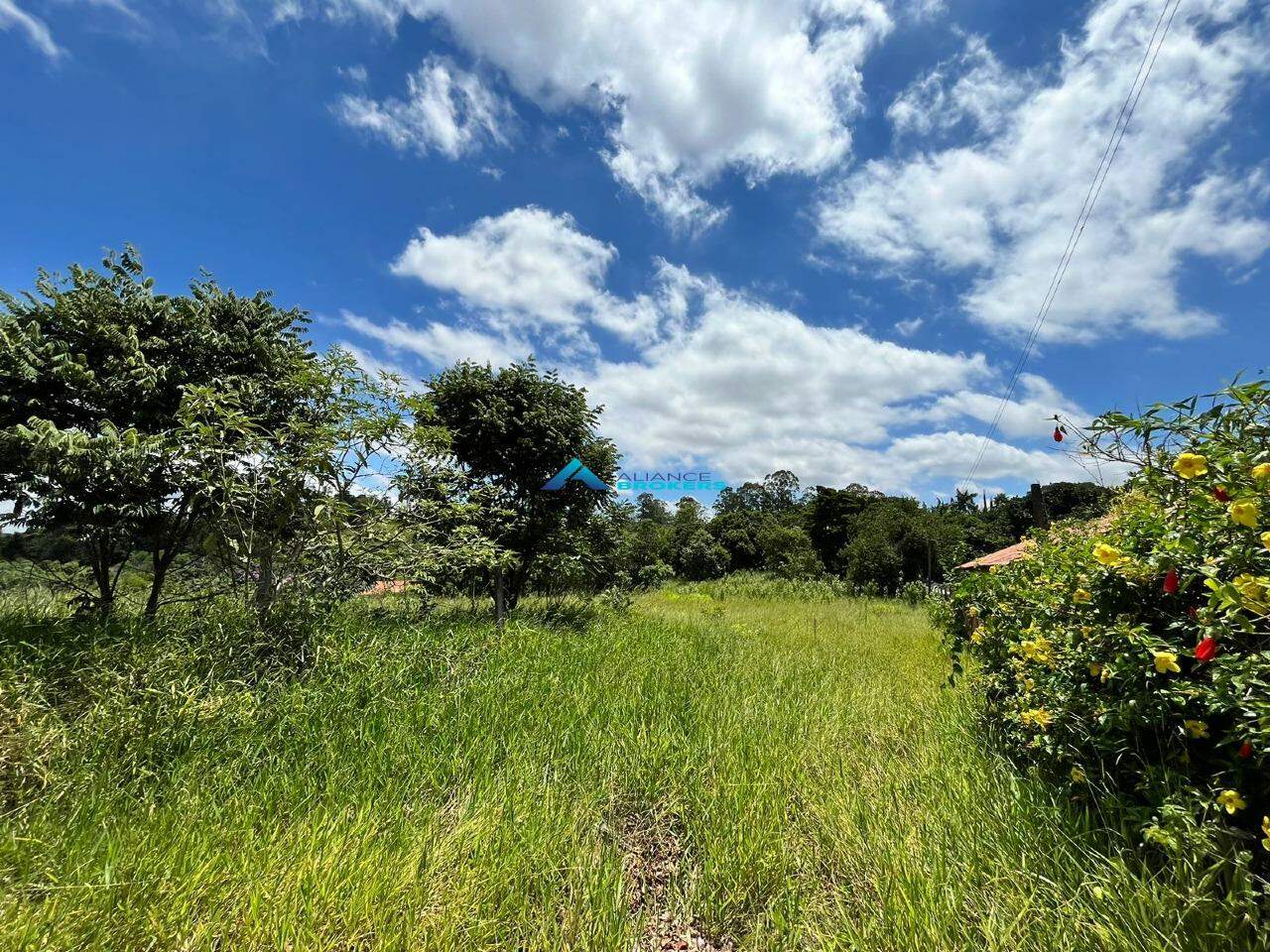 Terreno à venda, 2000m² - Foto 11