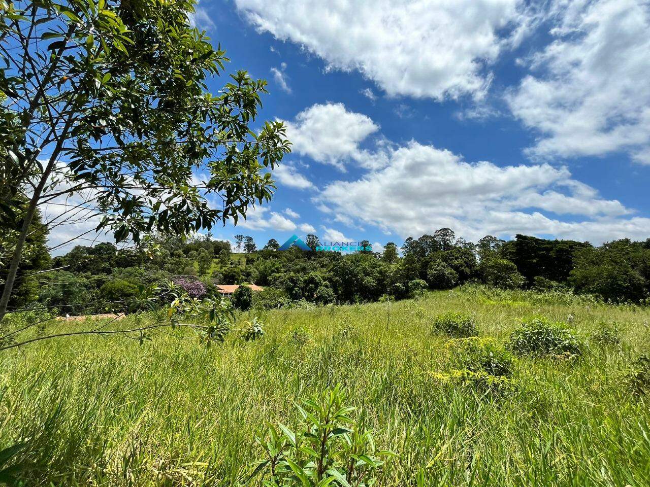 Terreno à venda, 2000m² - Foto 16