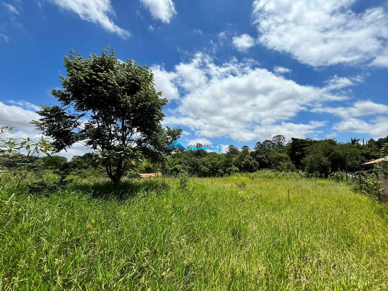 Terreno à venda, 2000m² - Foto 2