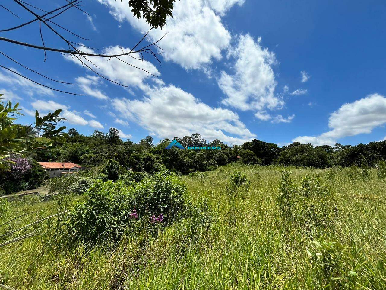 Terreno à venda, 2000m² - Foto 13