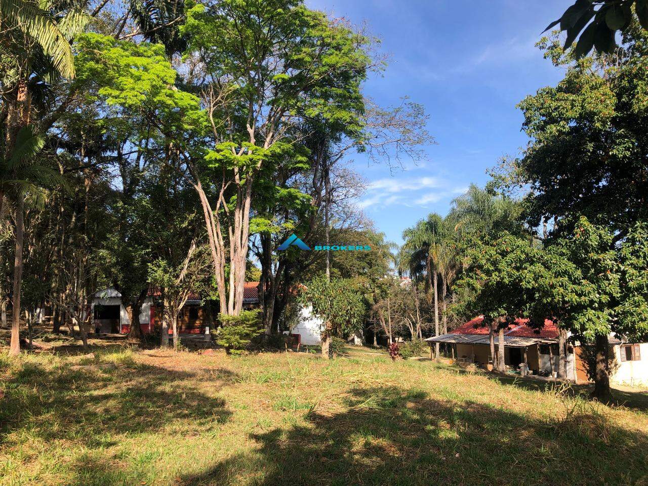 Fazenda à venda com 4 quartos, 500m² - Foto 17