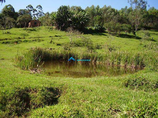 Fazenda à venda, 78000m² - Foto 6