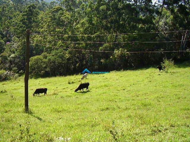 Fazenda à venda, 78000m² - Foto 12