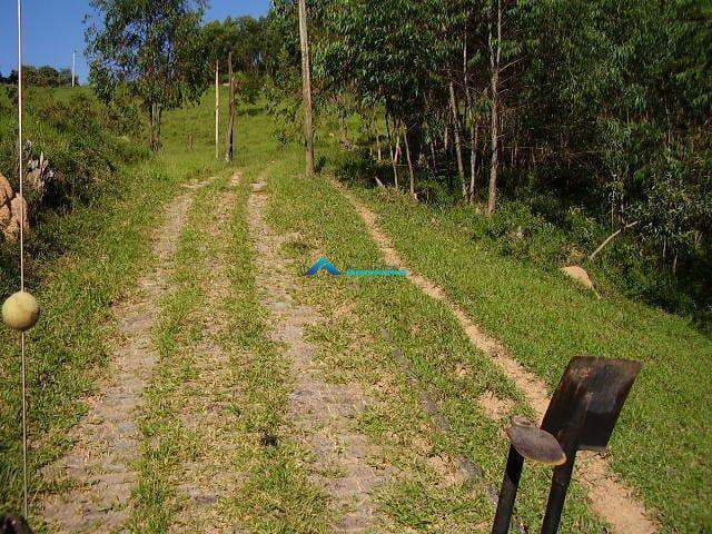 Fazenda à venda, 78000m² - Foto 7