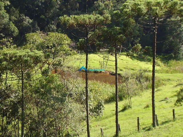 Fazenda à venda, 78000m² - Foto 20