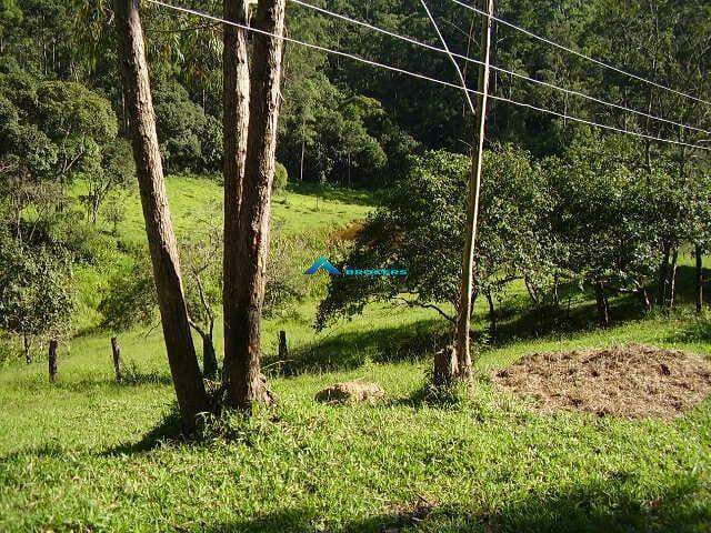 Fazenda à venda, 78000m² - Foto 5