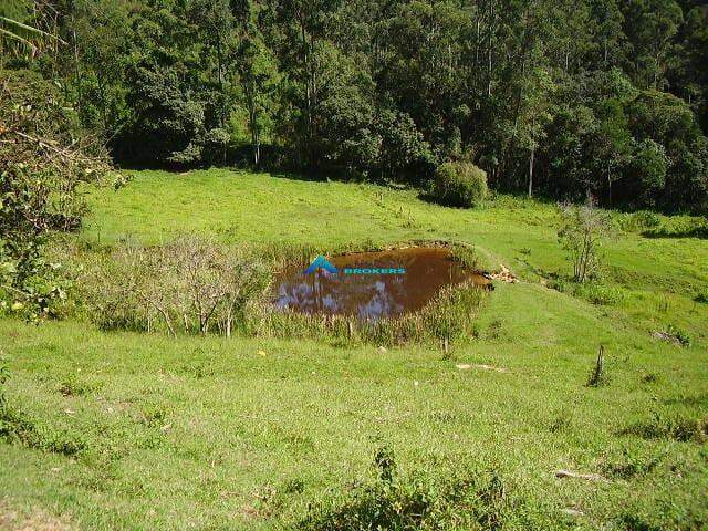 Fazenda à venda, 78000m² - Foto 9