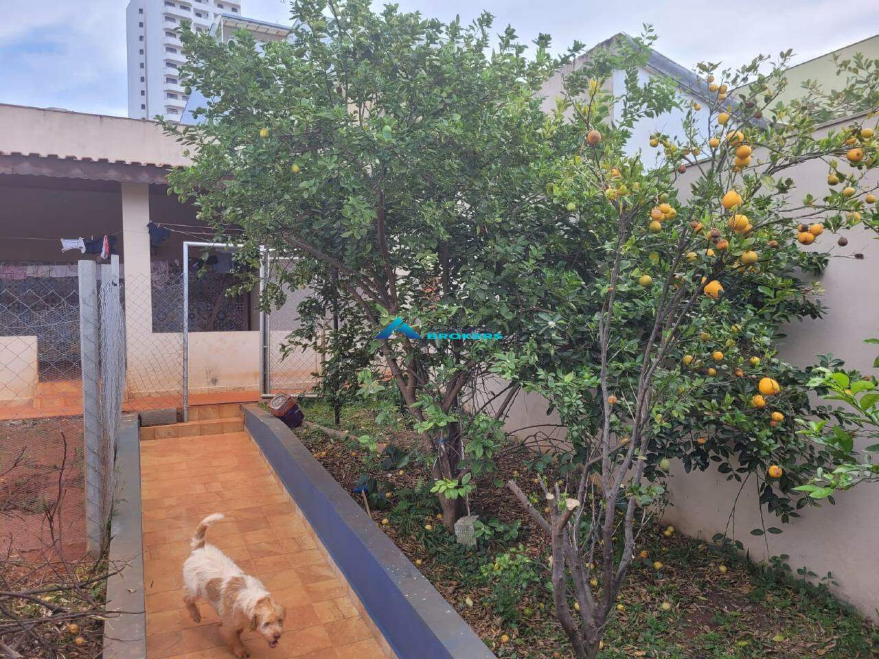 Casa à venda com 4 quartos, 230m² - Foto 1