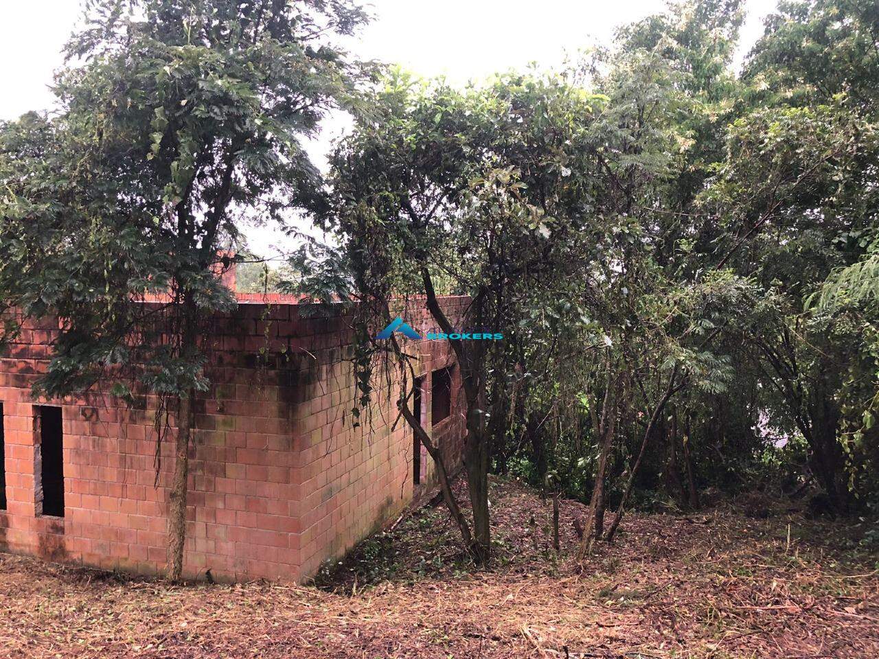 Fazenda à venda com 3 quartos, 180m² - Foto 14