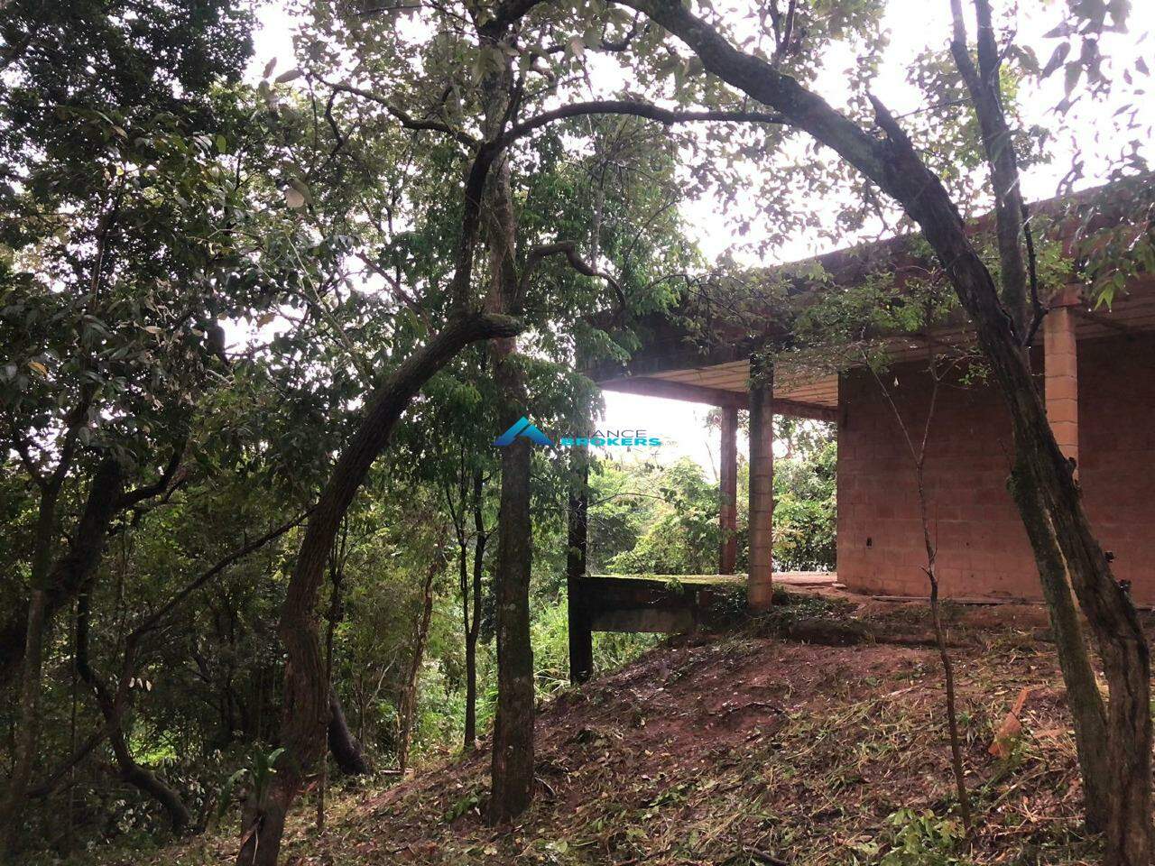 Fazenda à venda com 3 quartos, 180m² - Foto 7