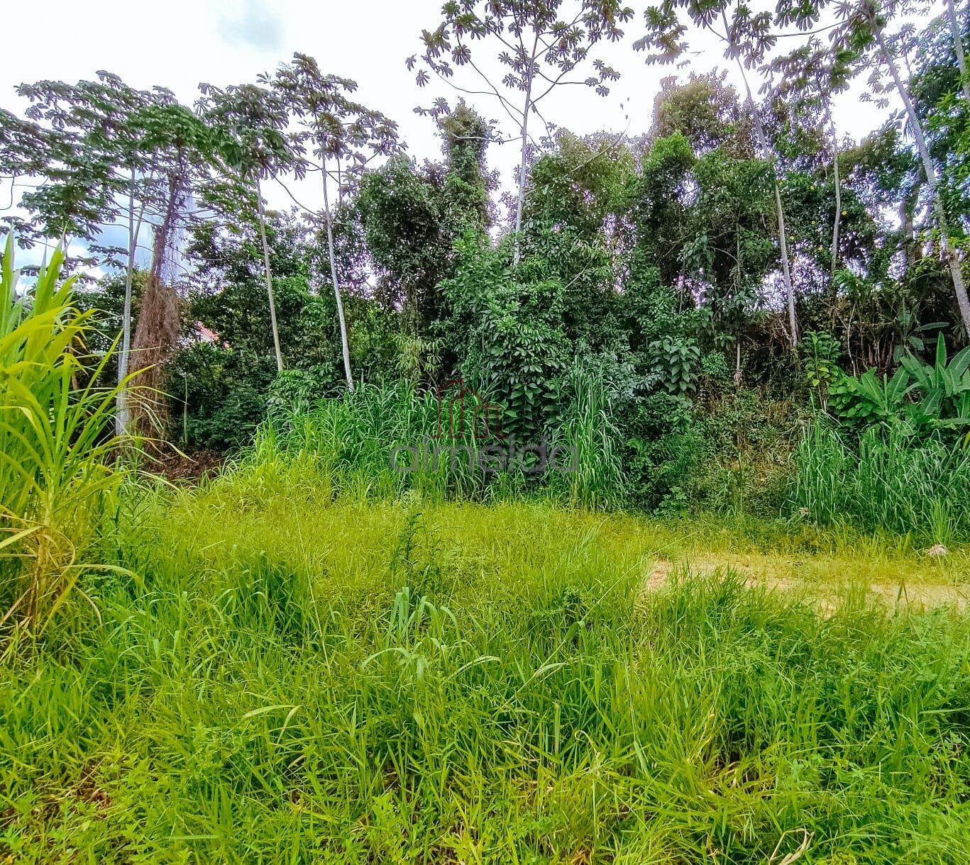 Lote/Terreno no bairro Centro, em Guabiruba | Eu Corretor