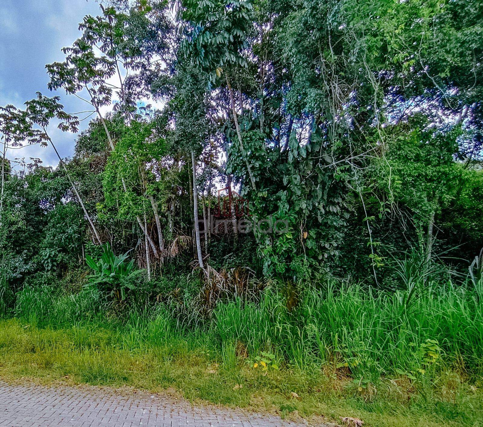 Lote/Terreno no bairro Centro, em Guabiruba | Eu Corretor