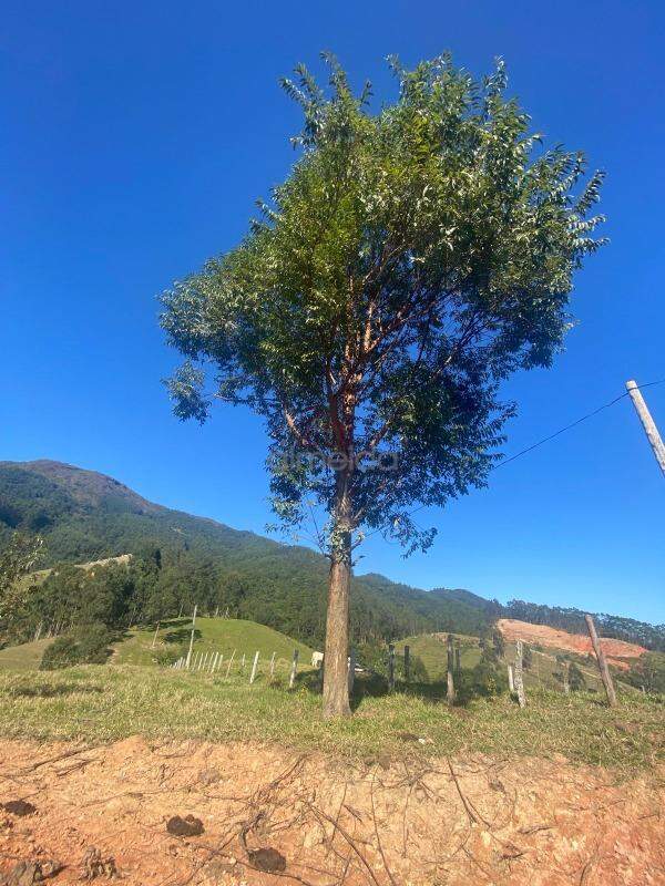 Lote/Terreno de no bairro GALERA, em Canelinha | Eu Corretor