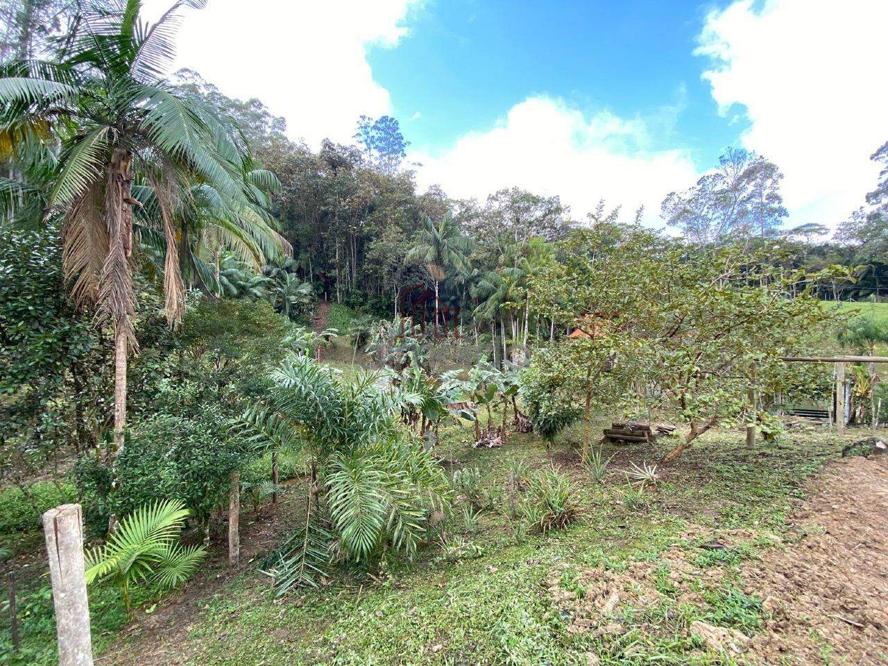 Lote/Terreno de no bairro Lorena, em Guabiruba | Eu Corretor