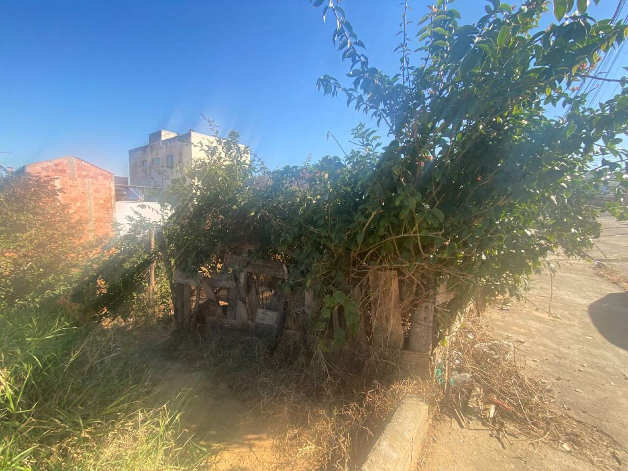 Terreno à venda no Residencial Água Branca: 