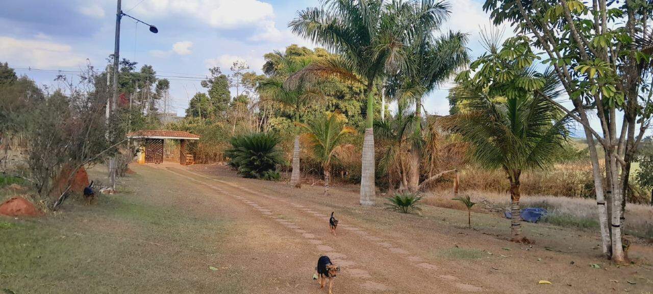 Sítio à venda no Parque das Árvores: 