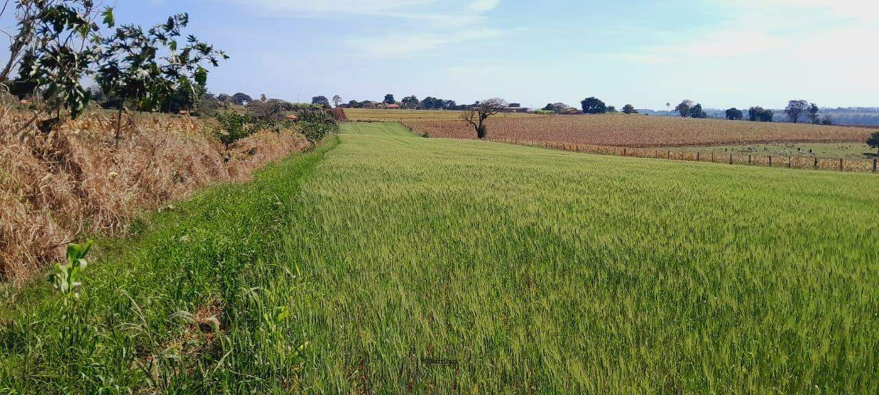 Sítio à venda no Área Rural de Boituva: 