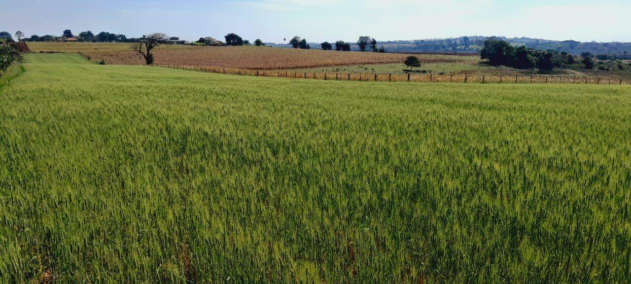 Sítio à venda no Área Rural de Boituva: 