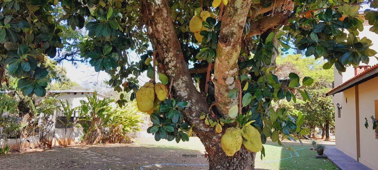 Chácara à venda no Área Rural de Boituva: 