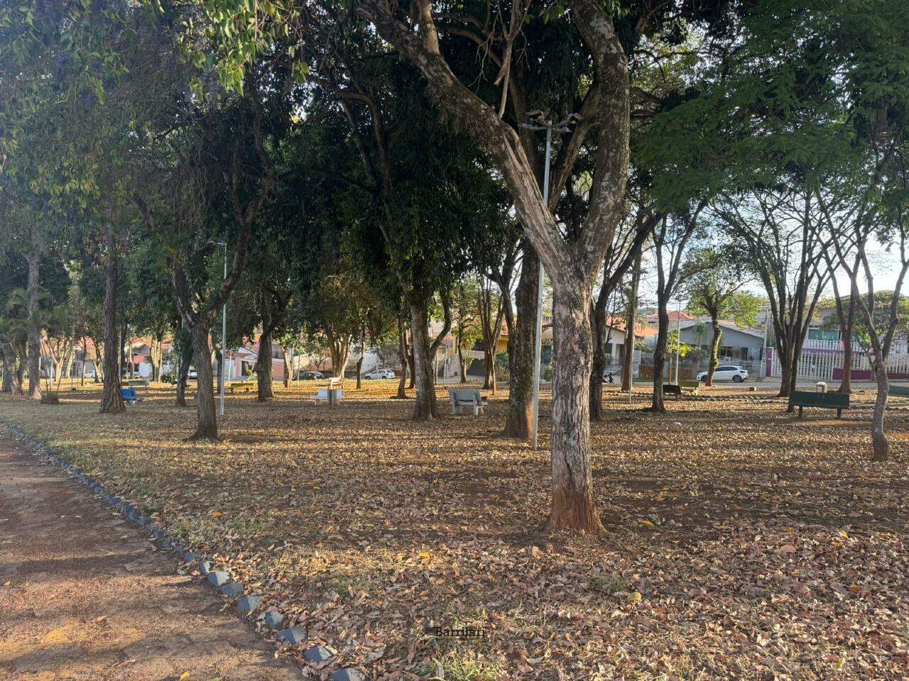 Terreno à venda no Centro: 