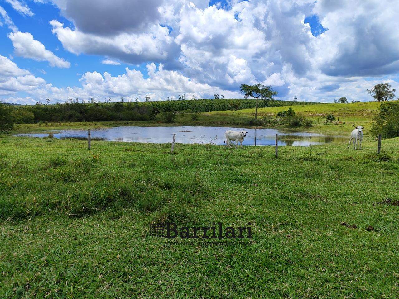 Fazenda à venda no Area Rural de Botucatu: 