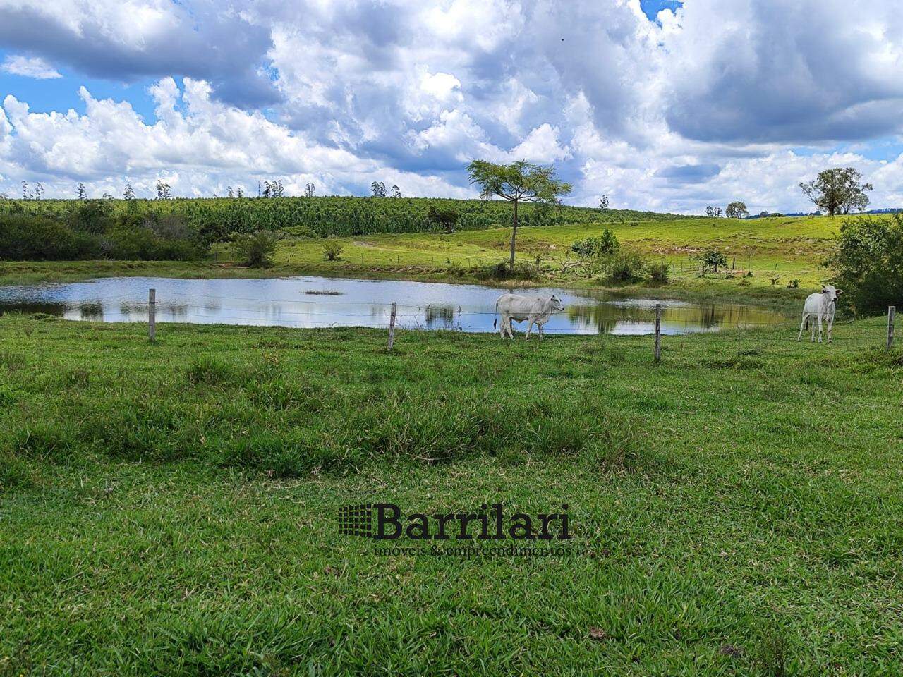 Fazenda à venda no Area Rural de Botucatu: 