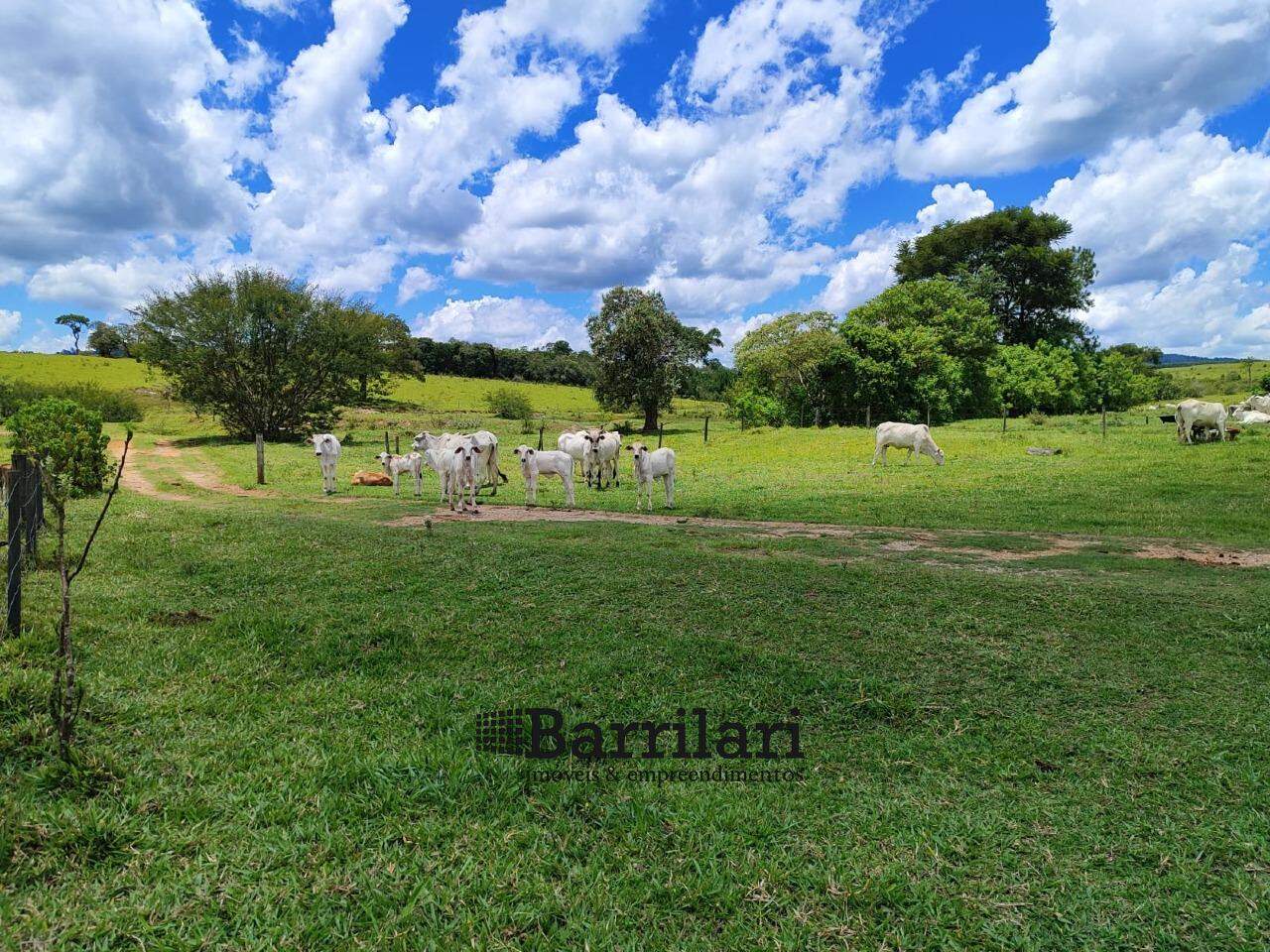 Fazenda à venda no Area Rural de Botucatu: 