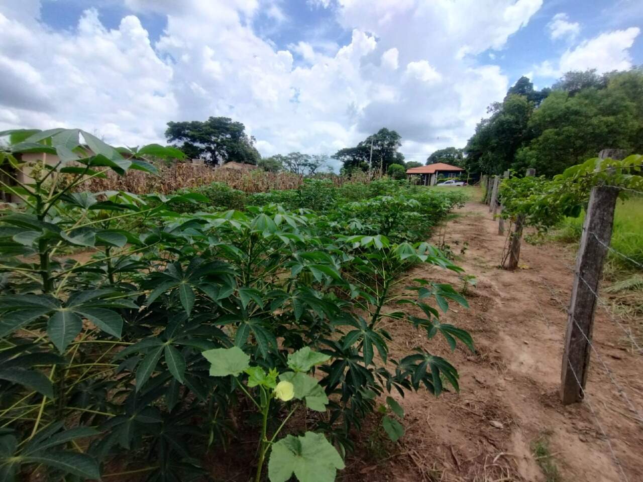 Terreno à venda no Recanto Maravilha: 