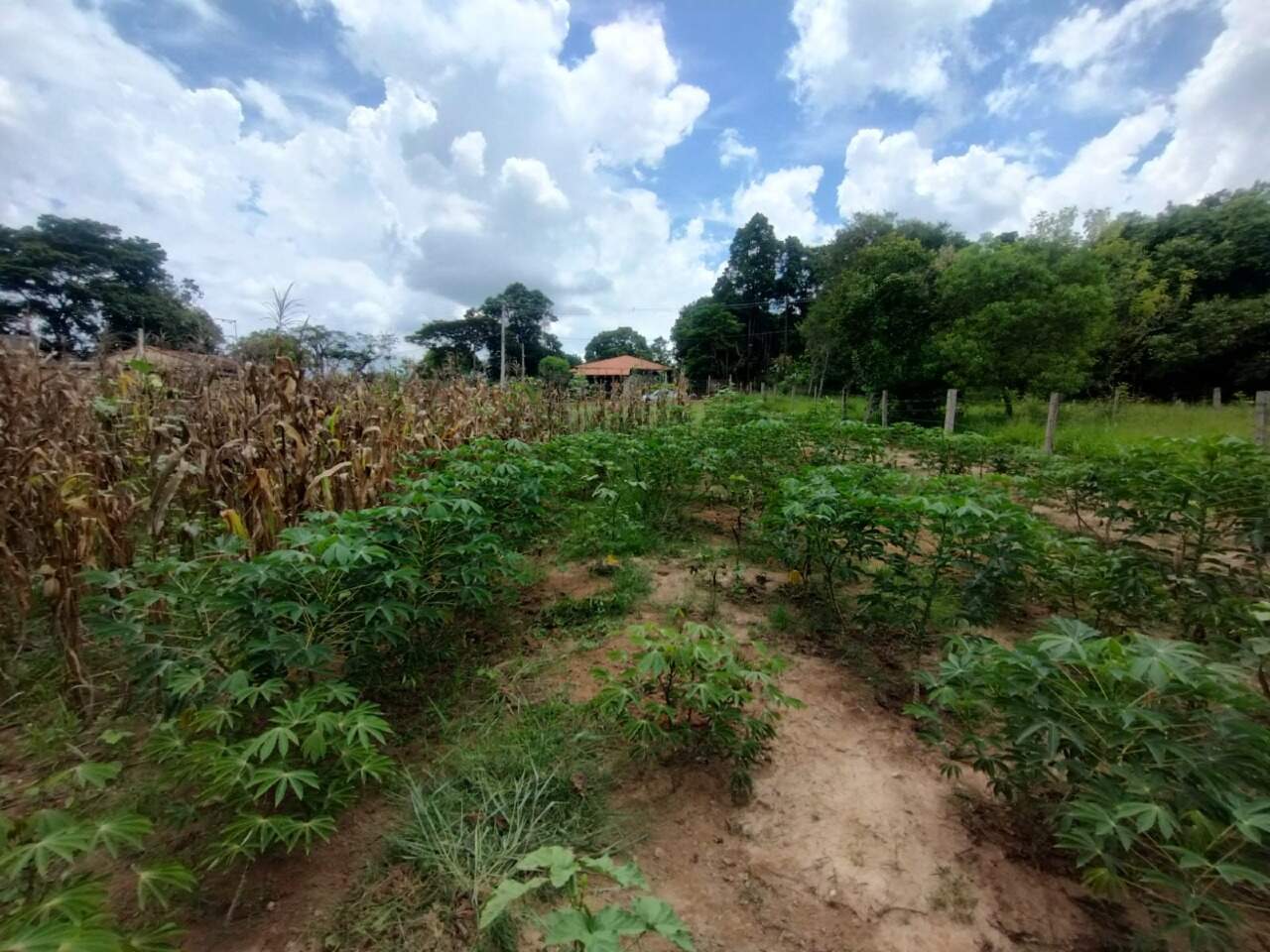 Terreno à venda no Recanto Maravilha: 