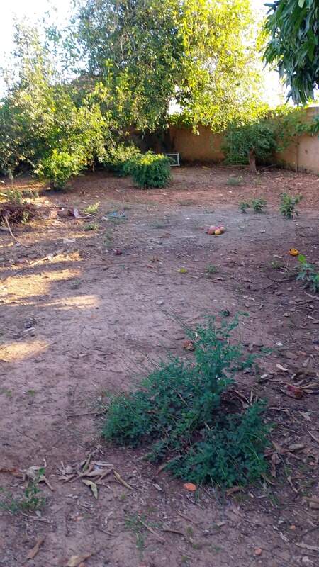 Terreno à venda no Campo de Boituva: 