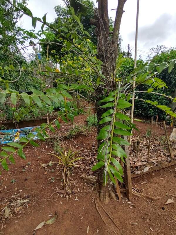 Casa à venda no Área Rural de Boituva: 