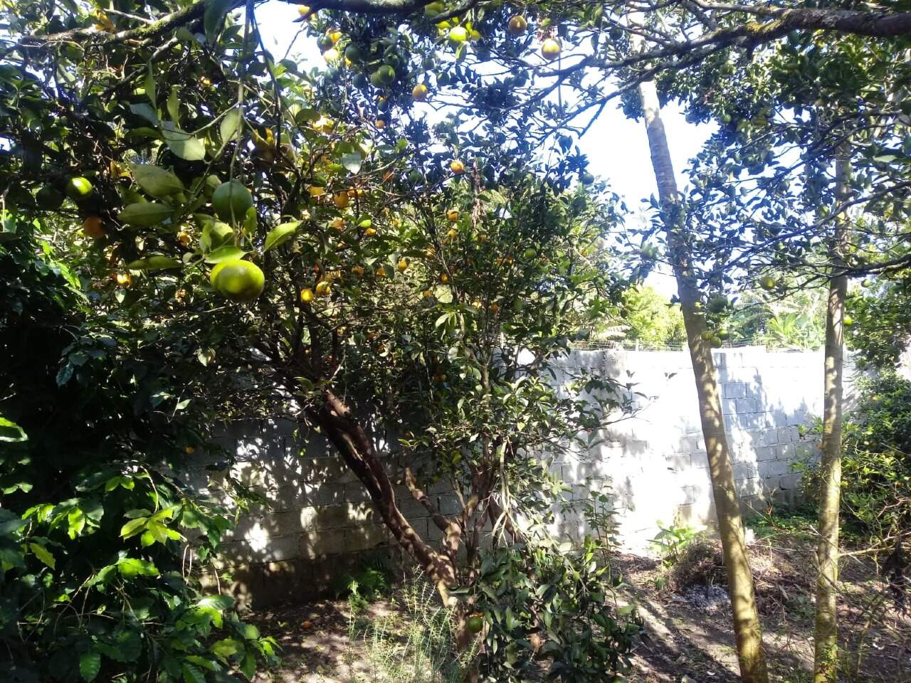 Casa à venda no Área Rural de Mairinque: 