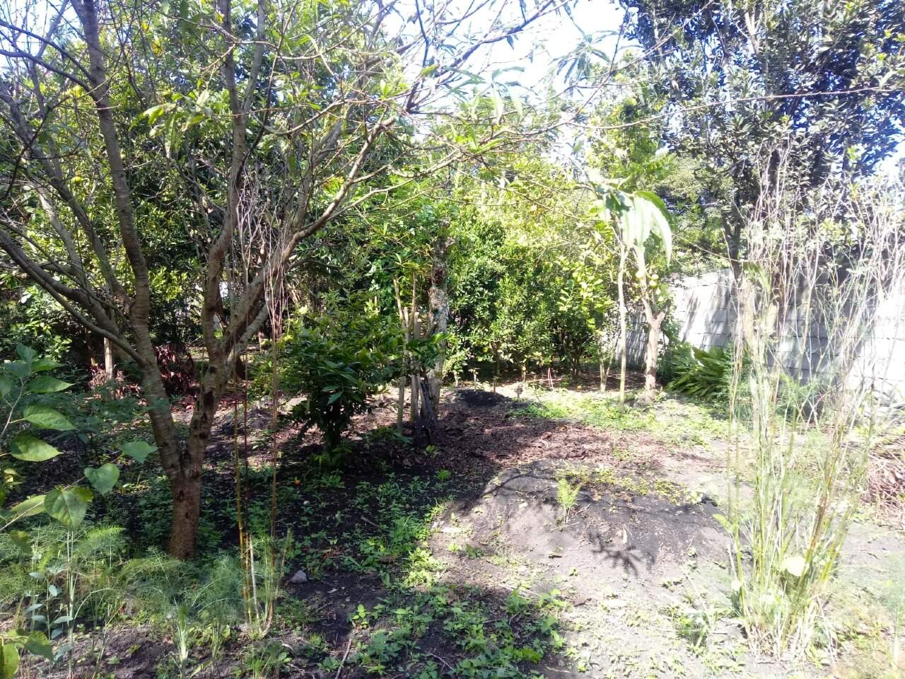 Casa à venda no Área Rural de Mairinque: 
