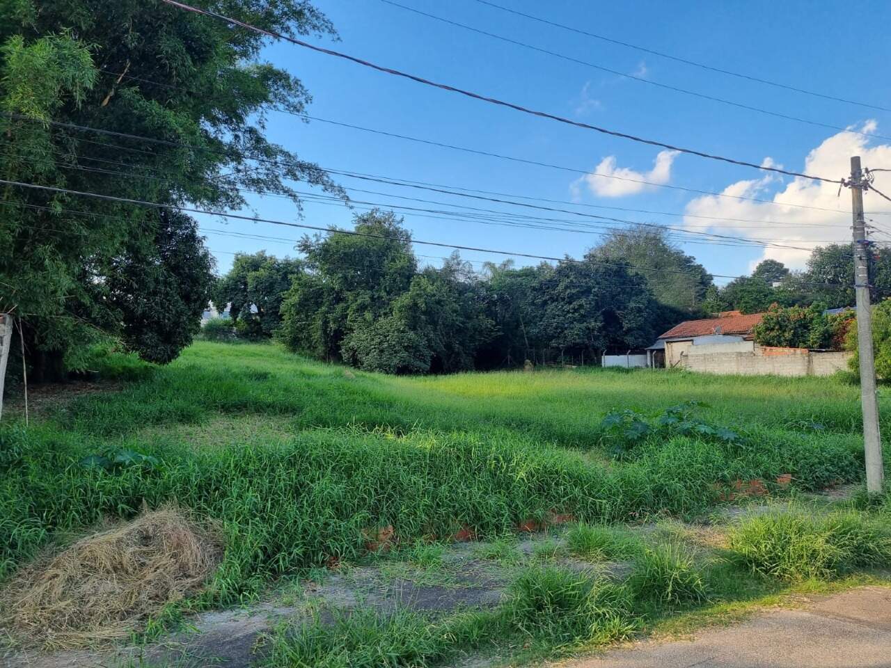 Terreno à venda no Chácara Vitiello: 