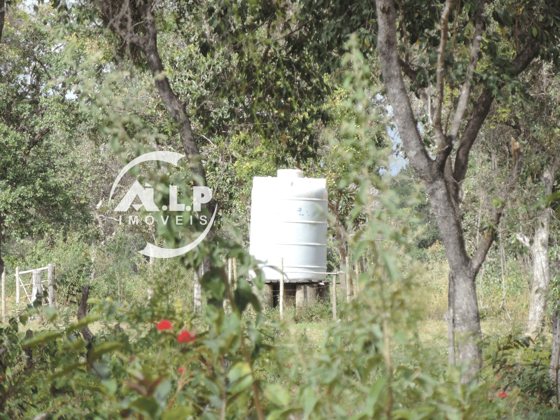Fazenda à venda no ZONA RURAL: 