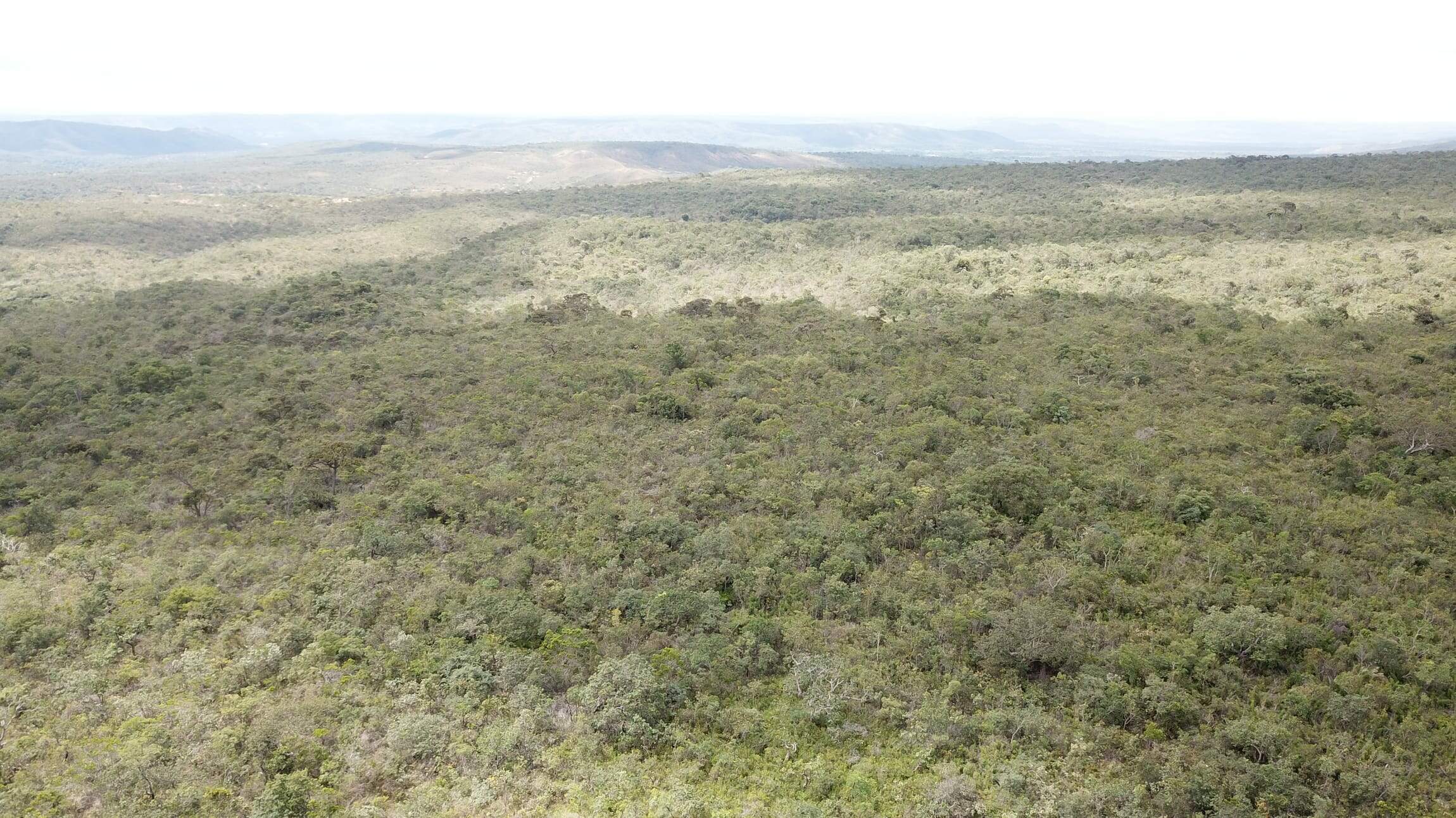 Sítio à venda no ZONA RURAL: 