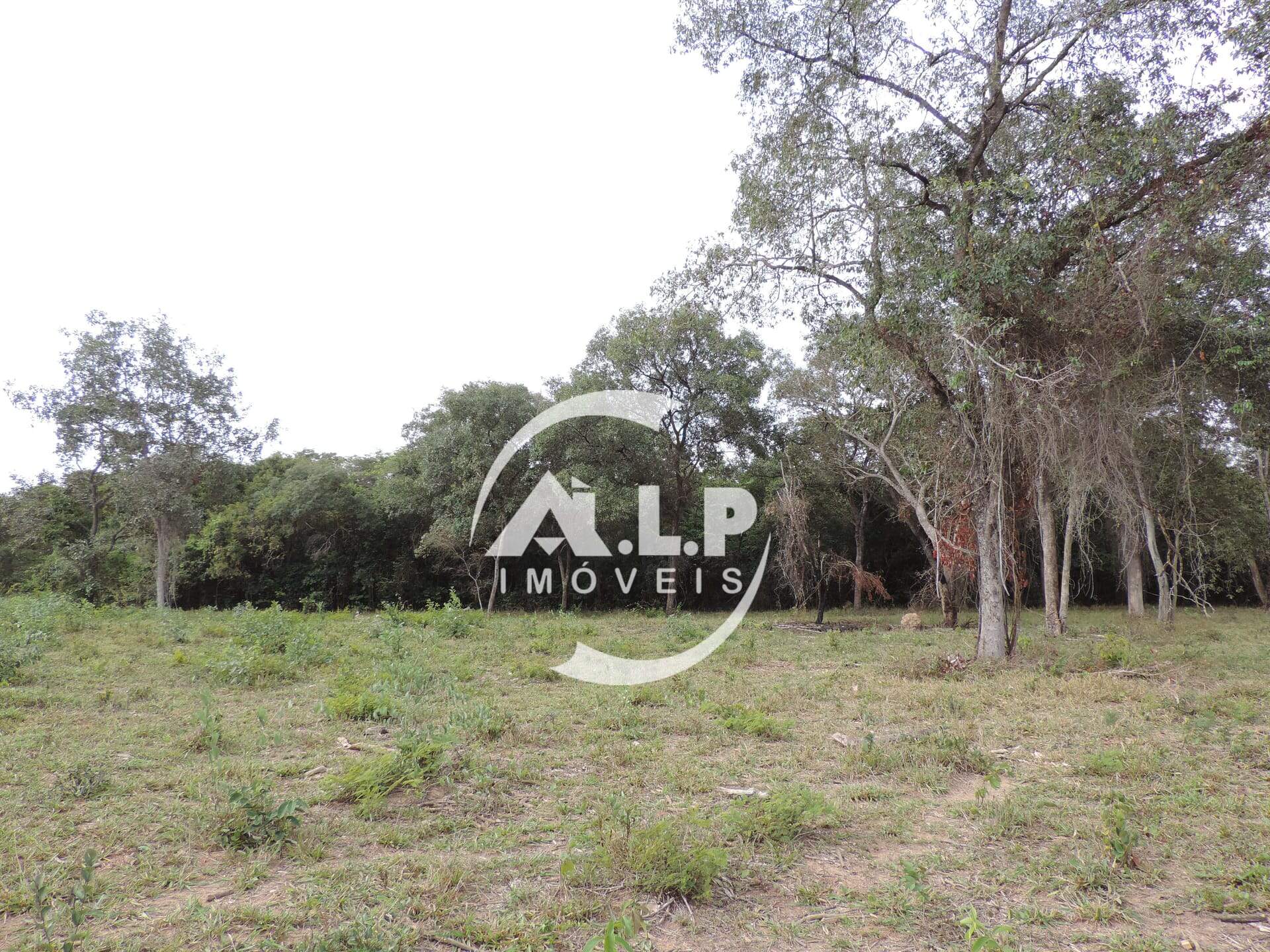 Terreno à venda no ZONA RURAL: 