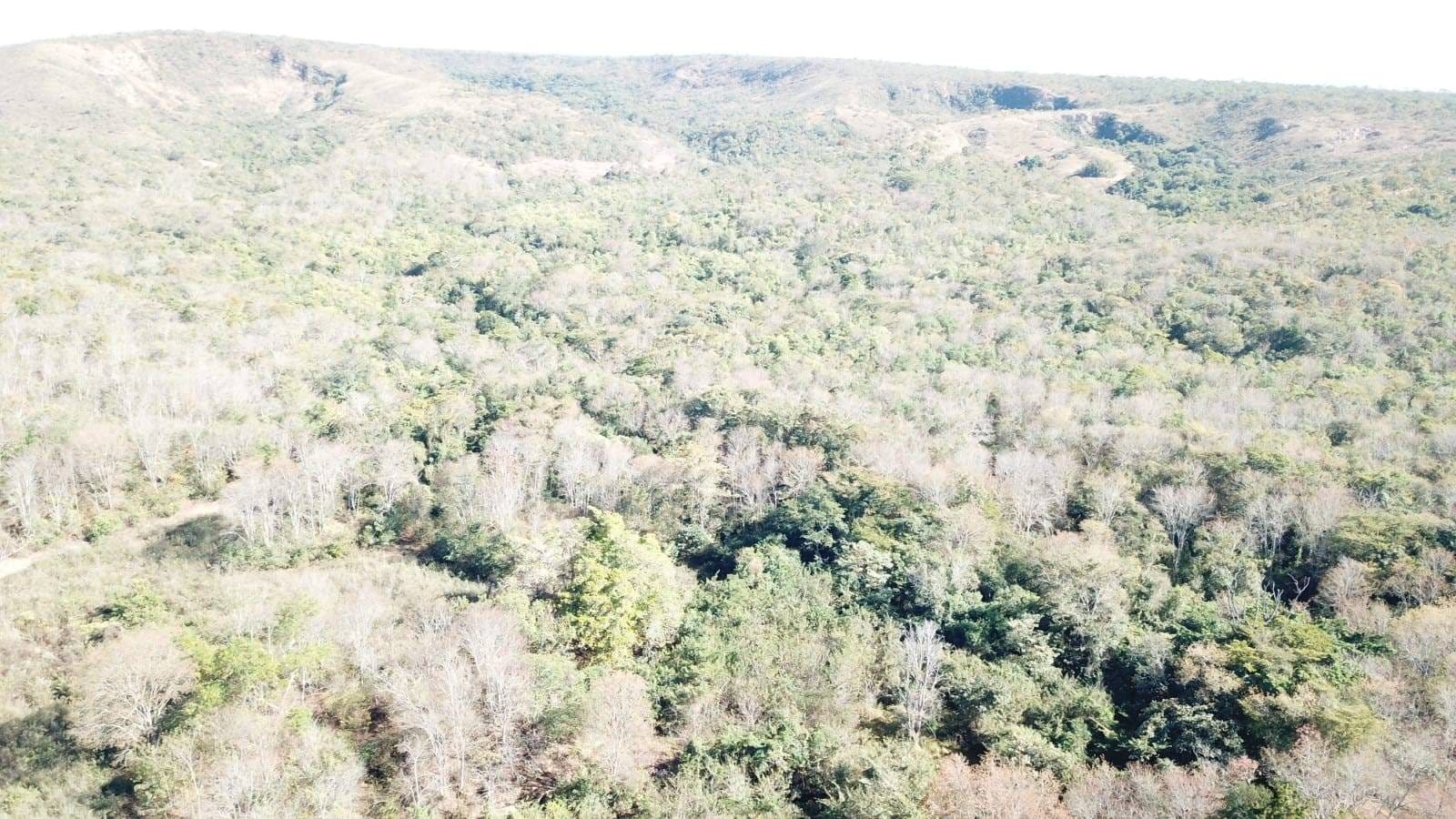 Terreno à venda no ZONA RURAL: 