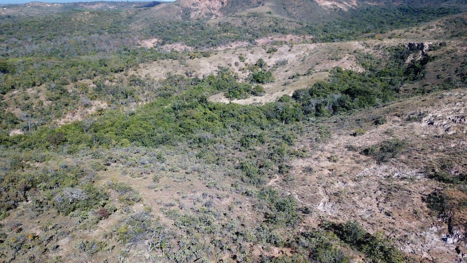 Terreno à venda no ZONA RURAL: 