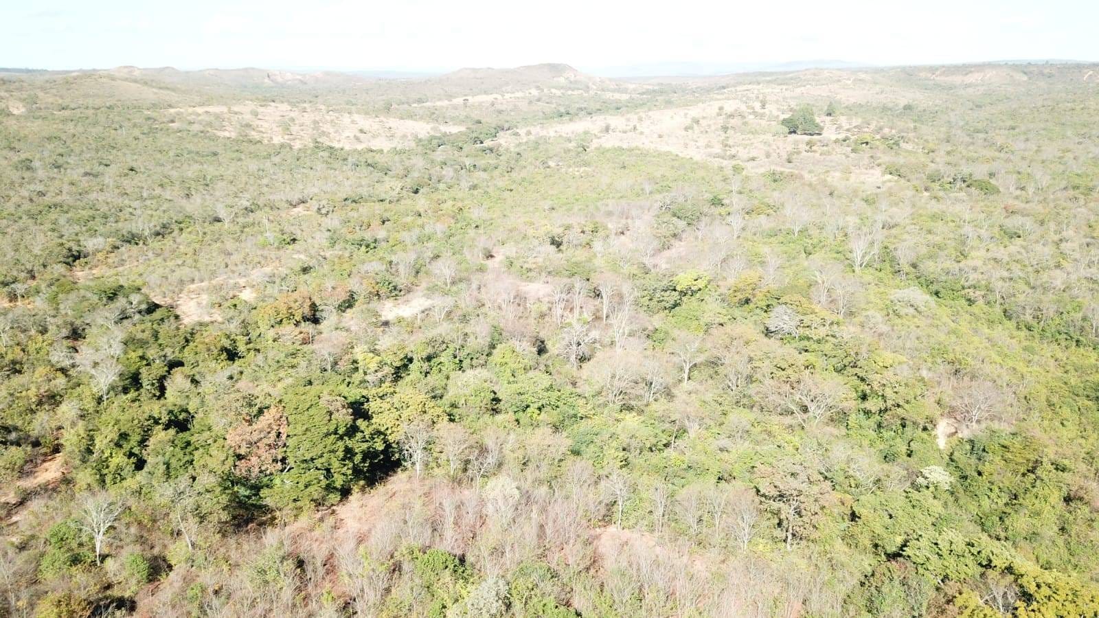 Terreno à venda no ZONA RURAL: 