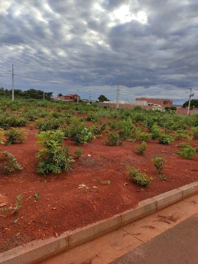 Terreno à venda no Residencial Quintas da Produção: 