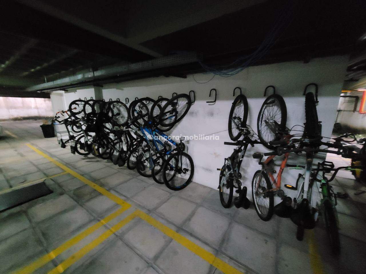 Apartamento para aluguel no Casa Amarela: 