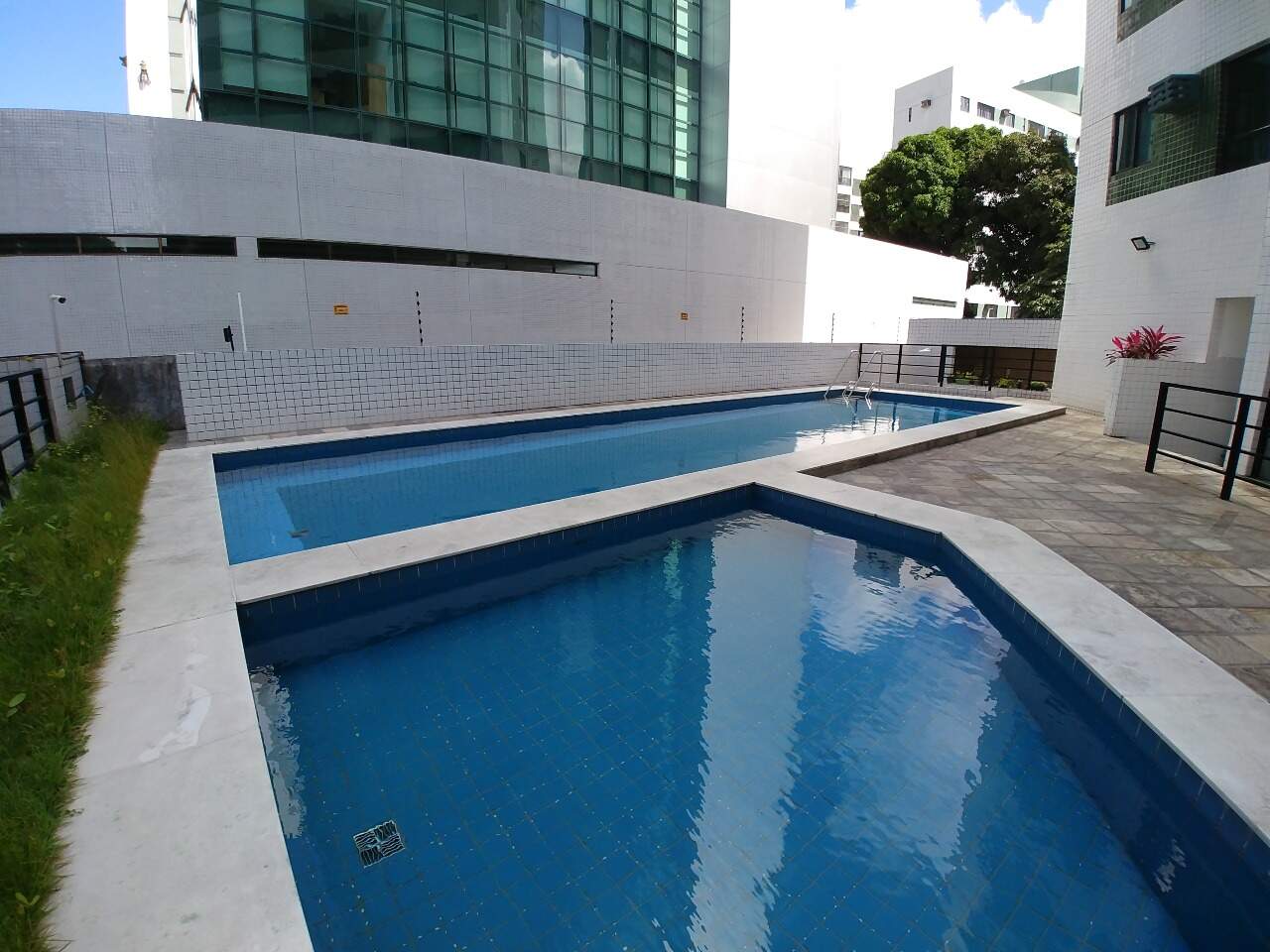 Apartamento para aluguel no Espinheiro: 